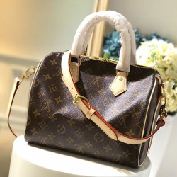 LOUIS VUITTON 루이비통 스피디 (25) SPEEDY PM M41113