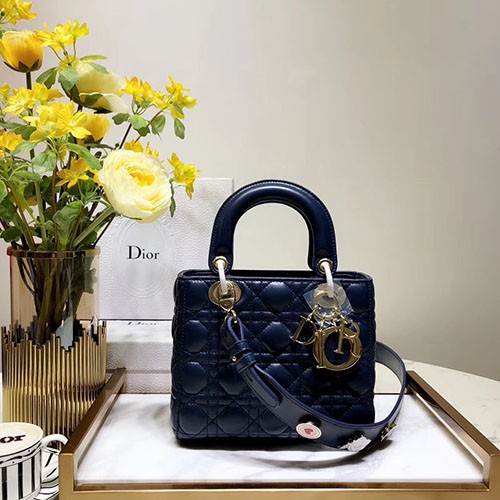 DIOR 디올 레이디백 20CM D38609-7