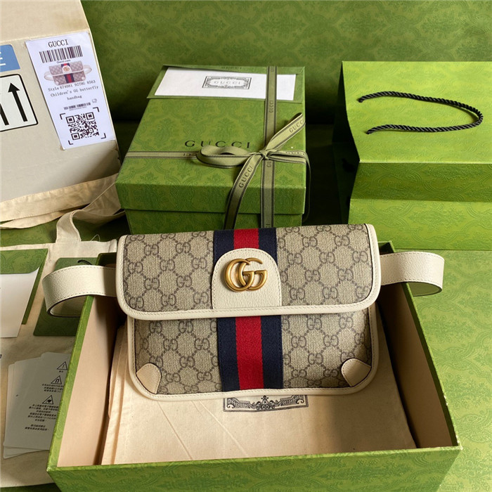 GUCCI 구찌 힙색 674081