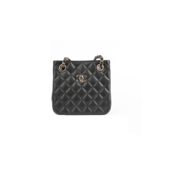 CHANEL 샤넬 미니 버킷백 AS3176