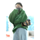  [마마무 화사] LOUIS VUITTON 루이비통 다이앤 모노그램 핸드백