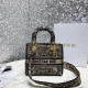 DIOR 디올 레이디 M0565