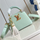 LOUIS VUITTON 루이비통 카푸신 미니 M48865