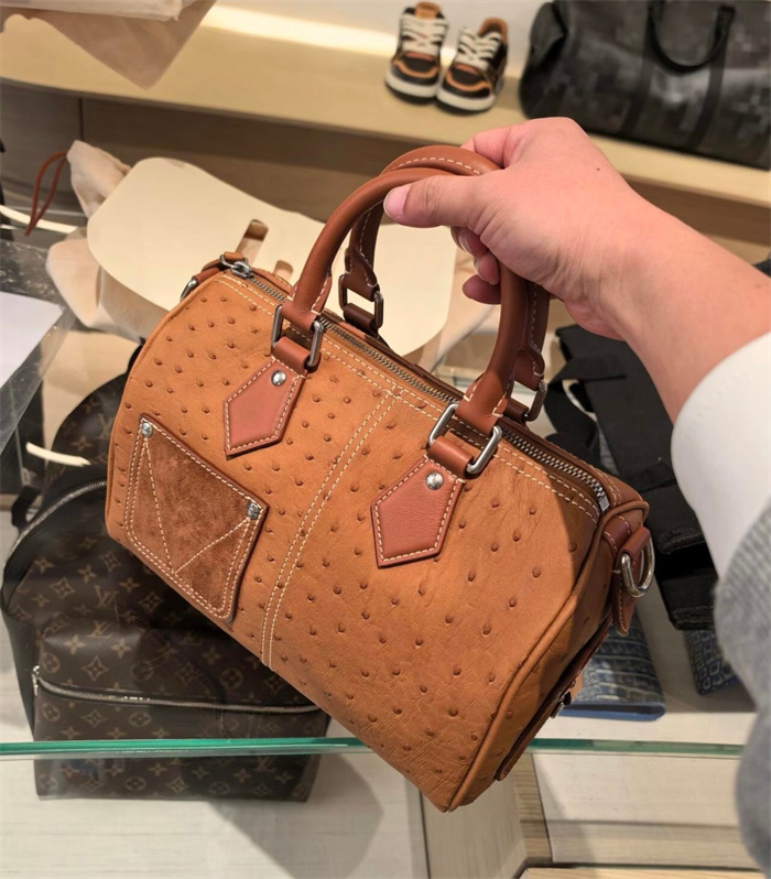 LOUIS VUITTON 루이비통 스피디 반둘리에 P9 25 토트백 N89119